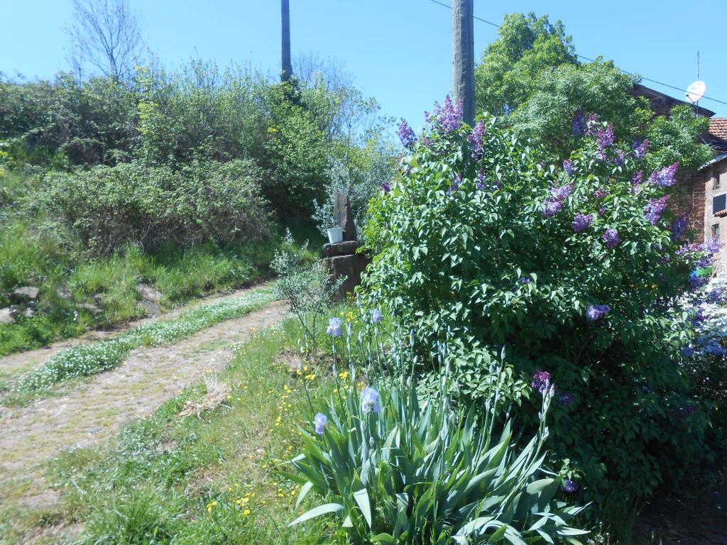 Gite Des Monts Saint-Izaire Exterior photo