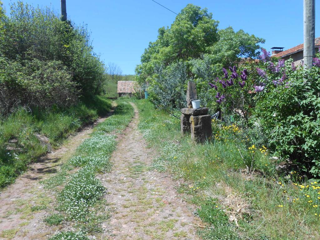 Gite Des Monts Saint-Izaire Exterior photo