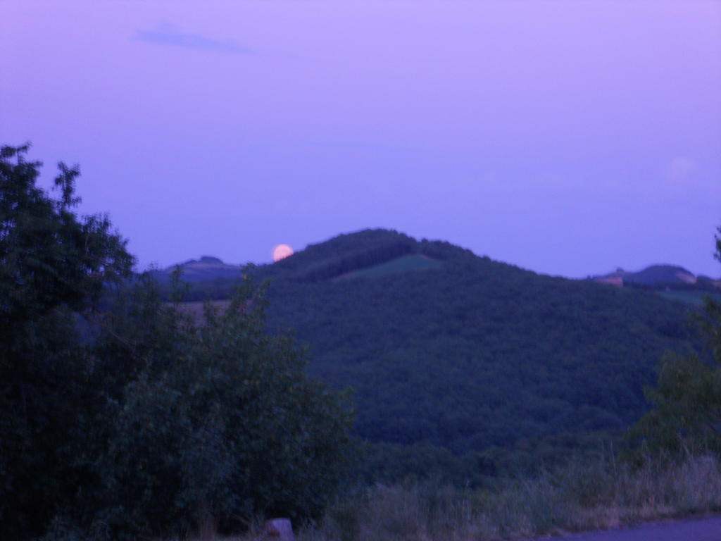 Gite Des Monts Saint-Izaire Exterior photo